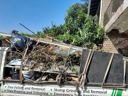 Best Carpet Removal and Disposal  in Odenville, AL